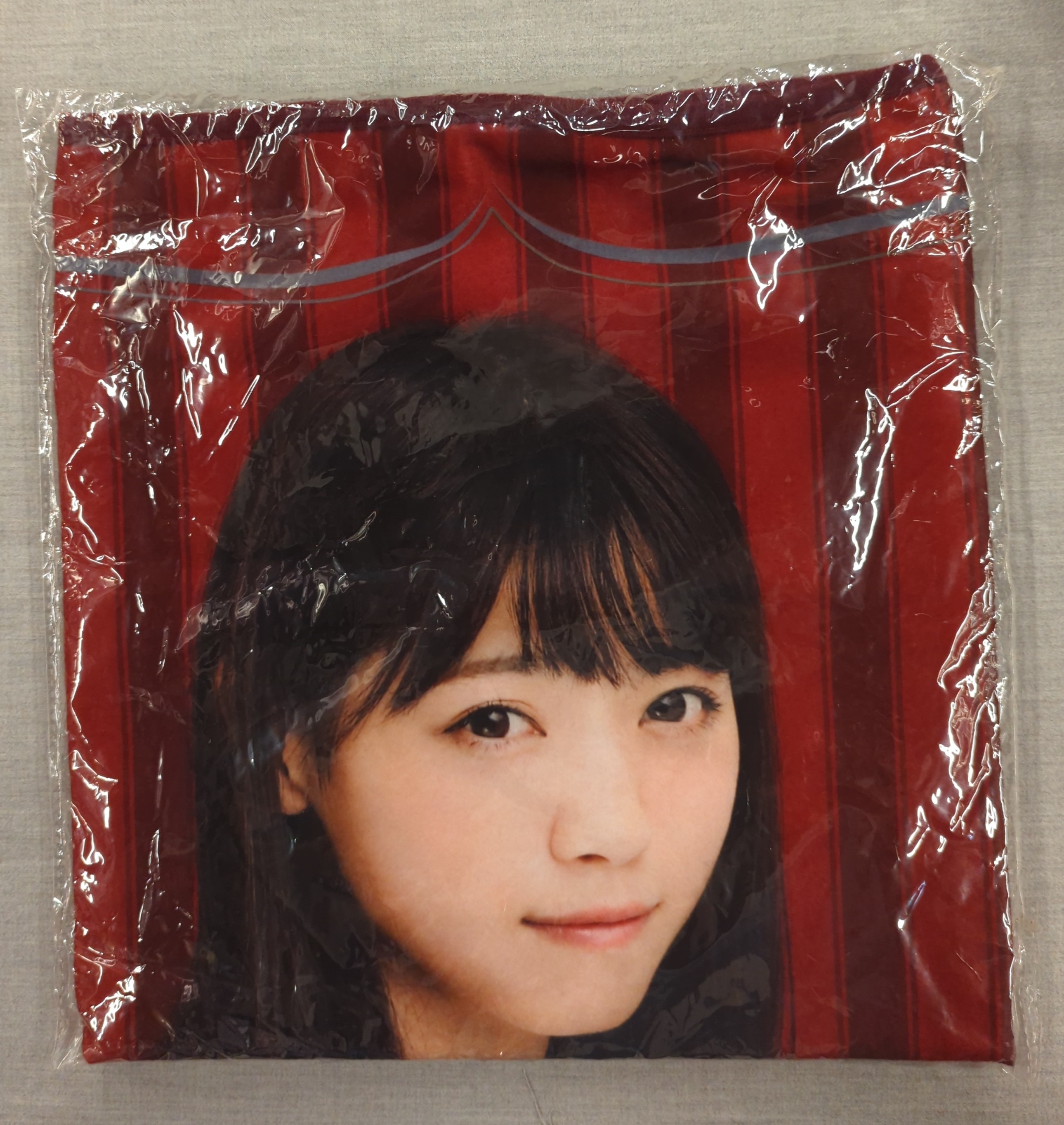 乃木坂乃木フェス池田瑛紗 ブランケット