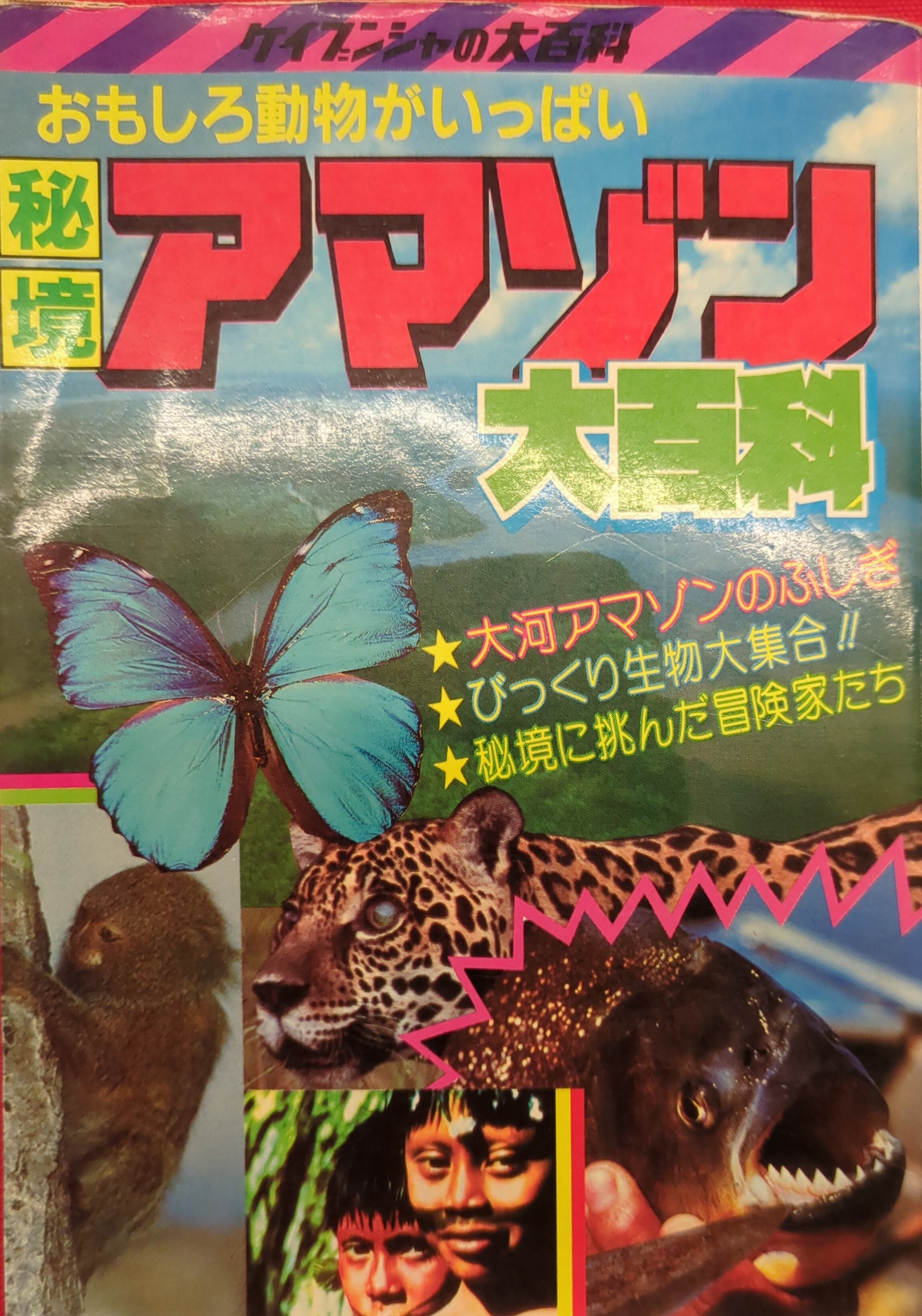 勁文社 ケイブンシャの大百科198 秘境アマゾン大百科 | まんだらけ Mandarake