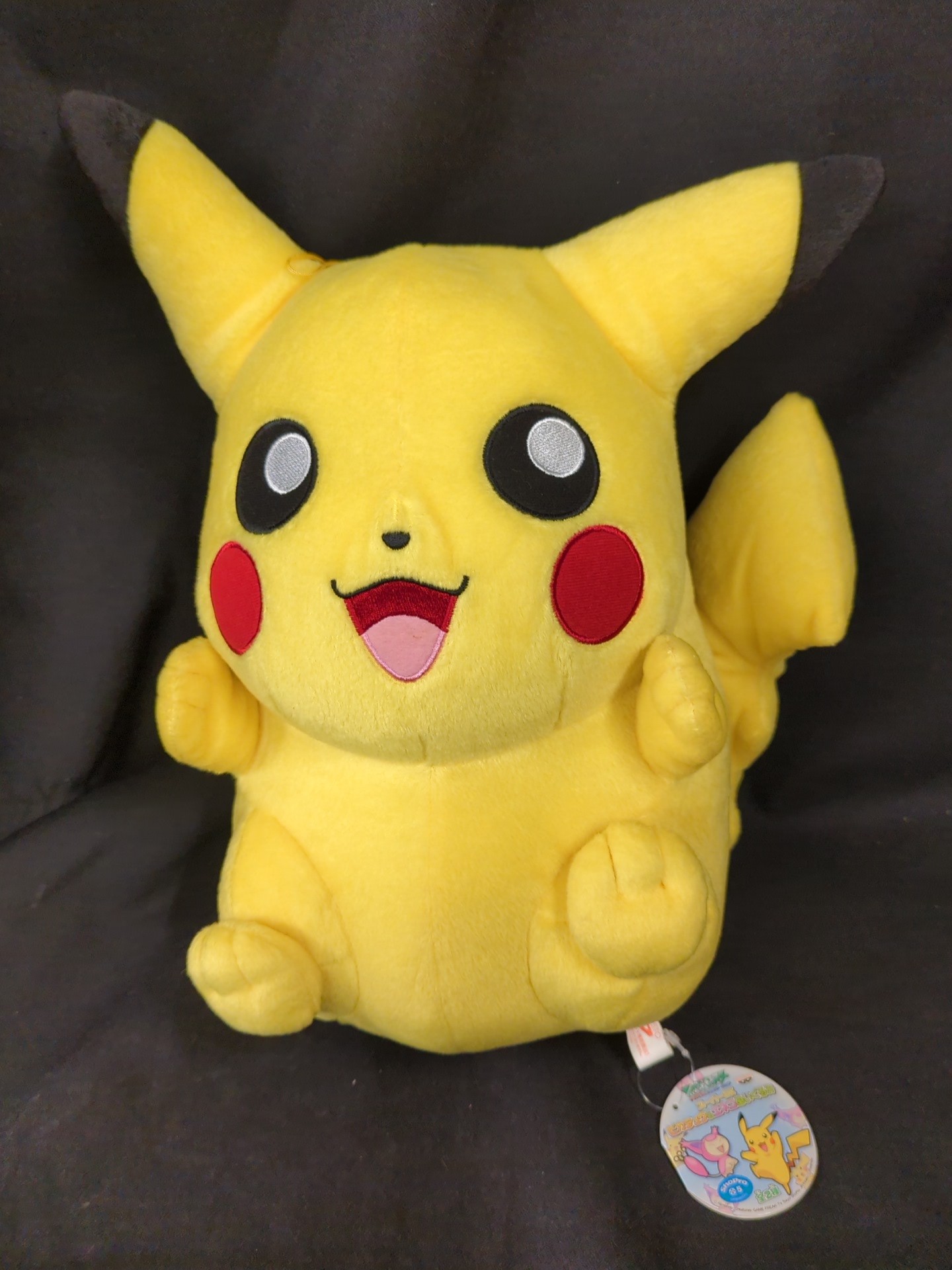 ポケットモンスター　アドバイスジェネレーション　DXぬいぐるみ　グラードン ポケットモンスター アドバイスジェネレーション DXぬいぐるみ