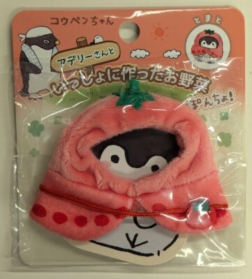 アデリーさんと一緒に作ったお野菜ぽんちょ