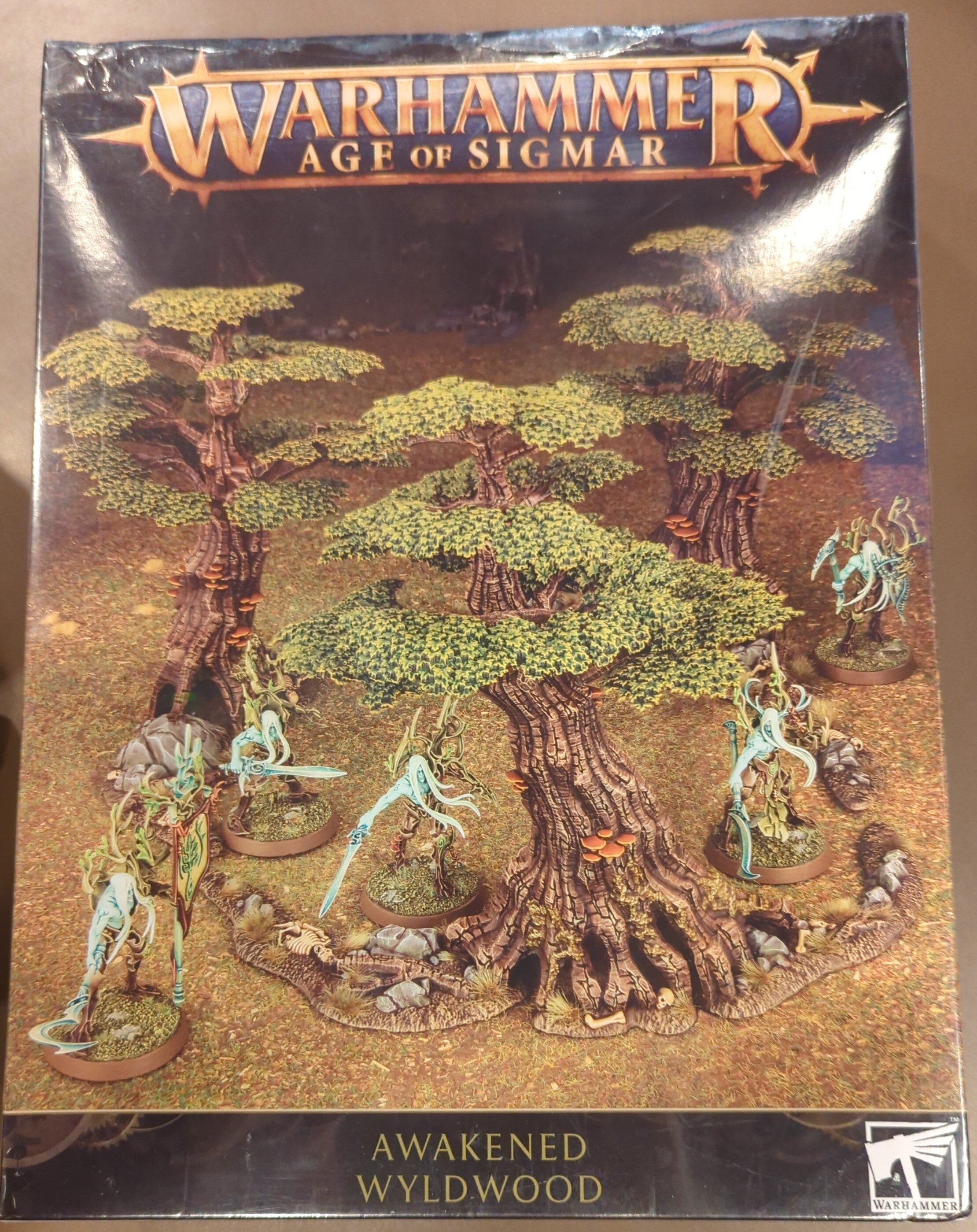 Games Workshop Warhammer AoS - Awakened Wyldwood 99120204023 Noir