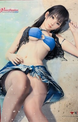 Tapestry DEAD OR ALIVE XTREME PS5/PS4 purchase bonus B2W Suede Tapestry Sofmap