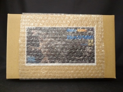 ゴジラドリーム酒井ゆうじ造形工房 ゴジラ2021 23cm サイン付き ゴジラドリーム酒井ゆうじ造形工房 ゴジラ2021 23cm サイン付き ゴジラ