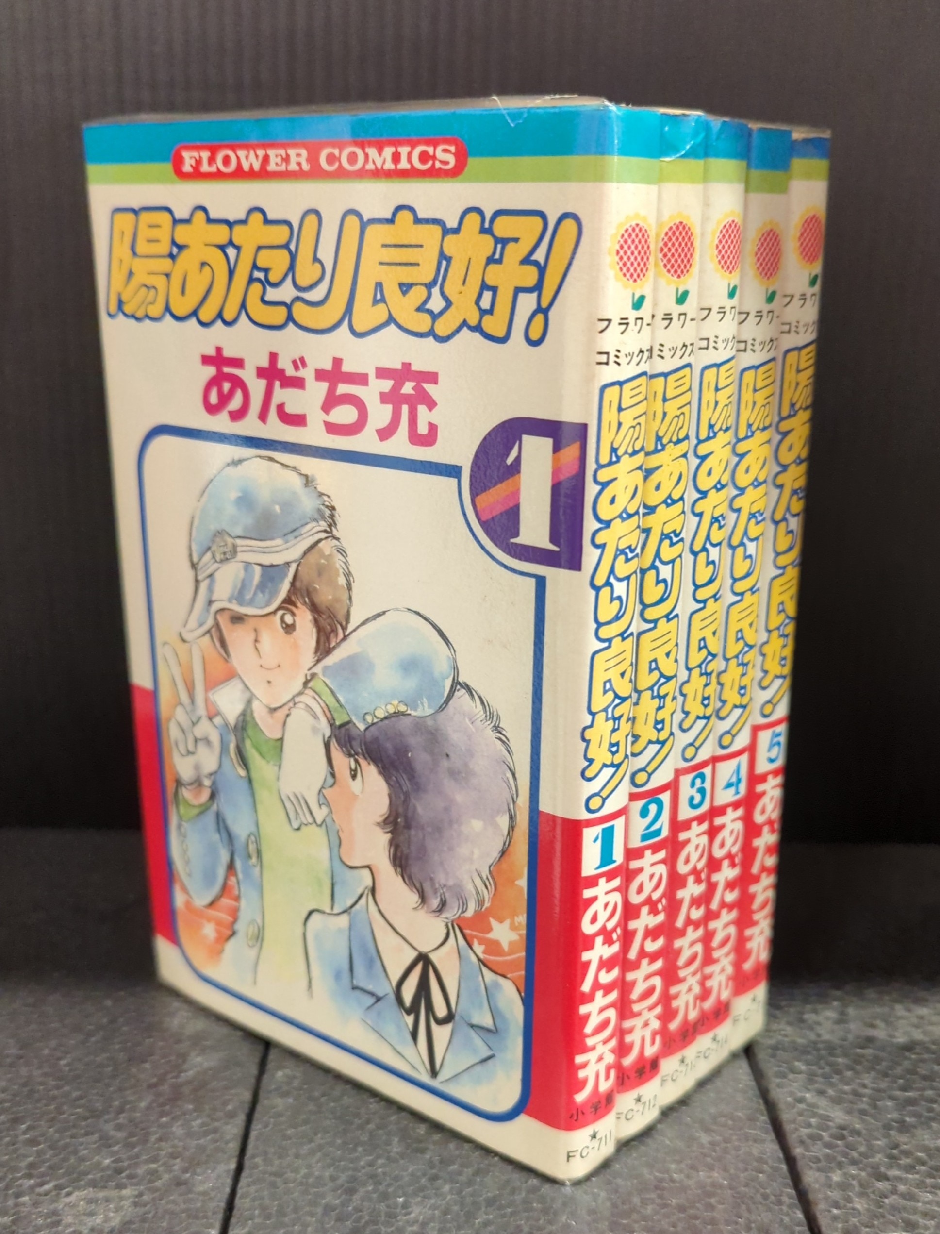 Shogakukan Flower Comics Adachi Mitsuyo Good Complete 5 Volume Set