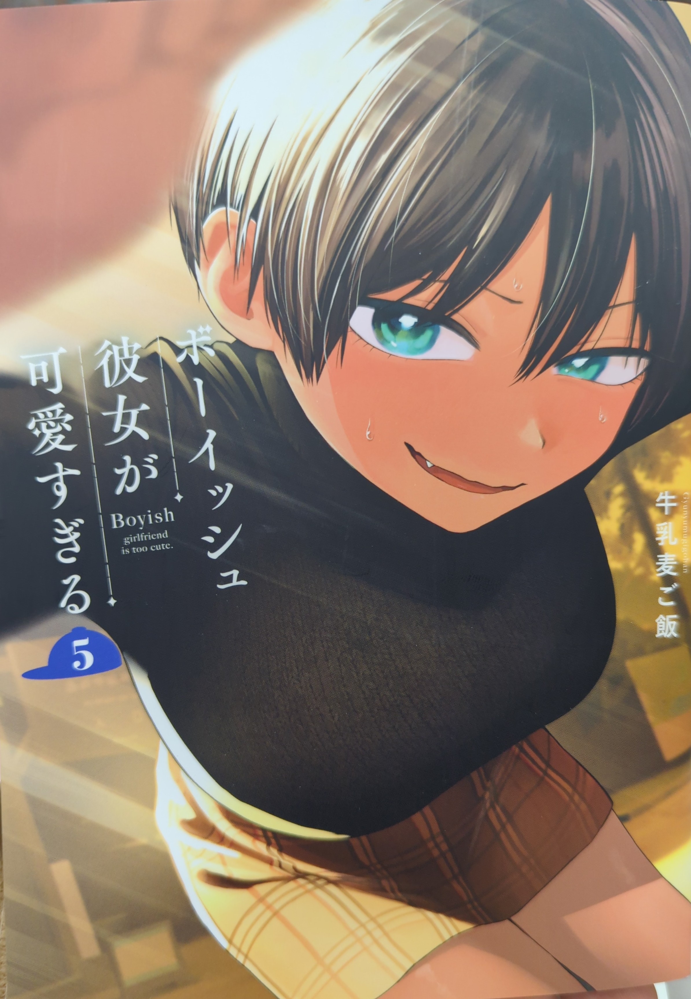 Square Enix Gangan Comics Pixiv Milk Barley Rice Boyish She's Too Cute 5