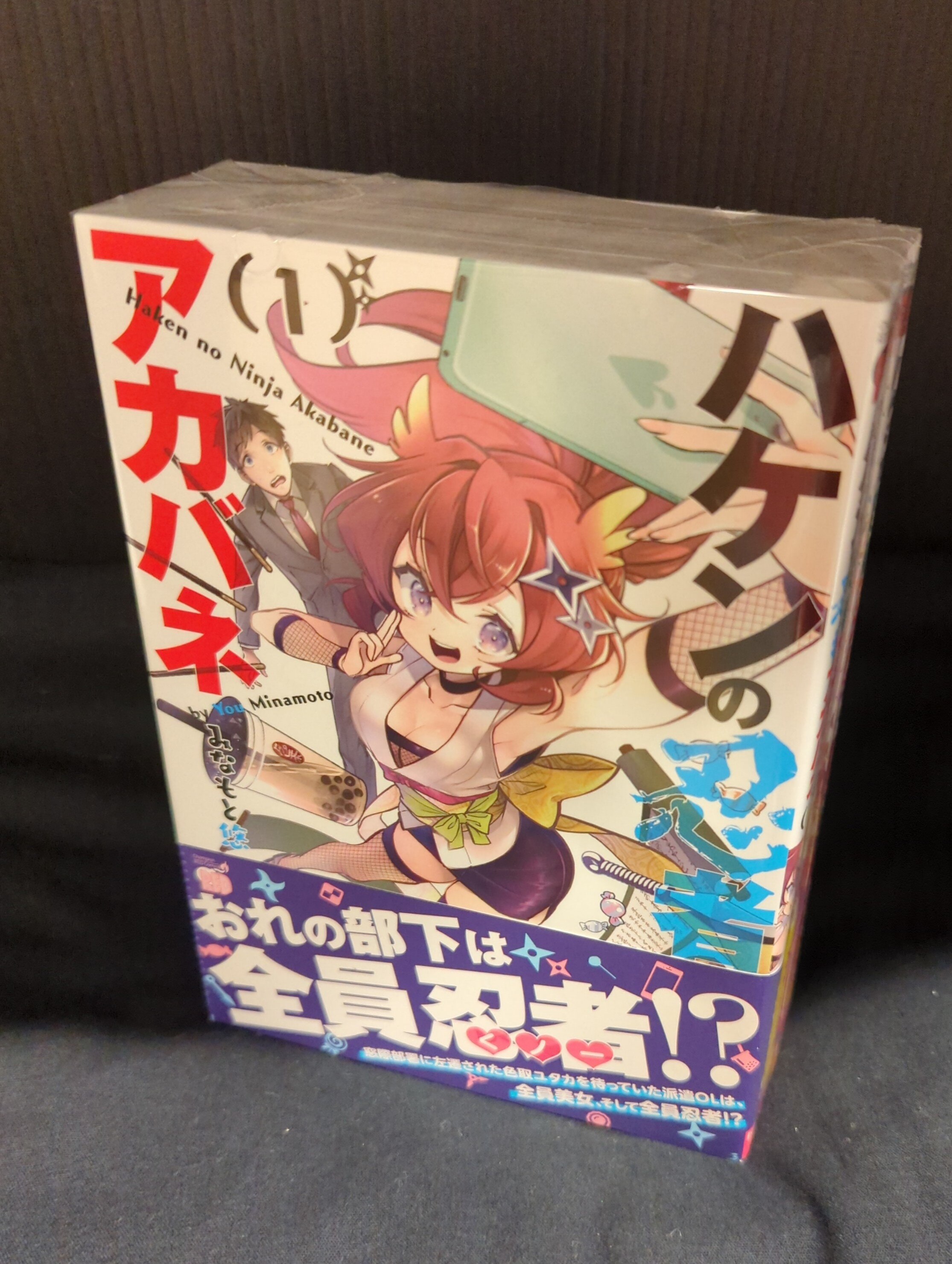 Akita Shoten Champion Red Comics Minamoto Yu Haken's Ninja Akabane Complete 4 Volume Set