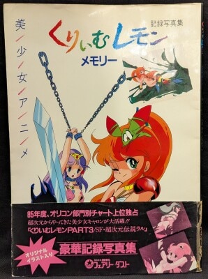フェアリーダスト くりいむレモンメモリー記録写真集pt3 (帯付)