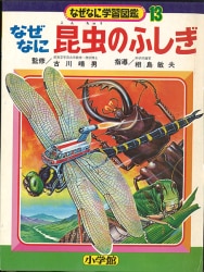 小学館 なぜなに学習図鑑 「海のふしぎ」(初版・箱付 24