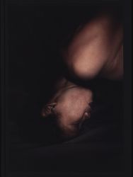 Antoine D&amp;#039;agata (work), 