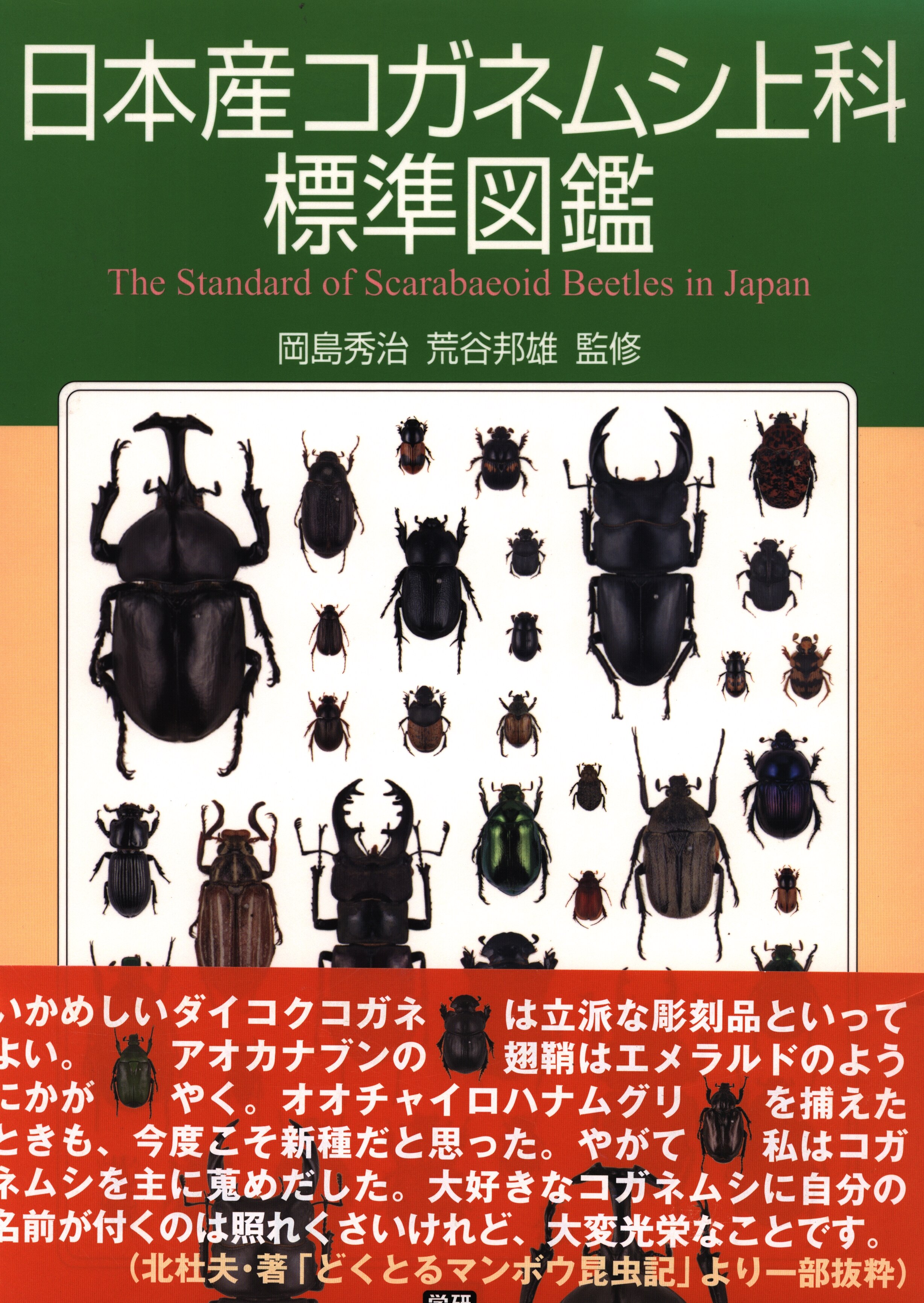 全日本送料無料 日本産コガネムシ上科図説 昆虫標本 期間限定値下げ