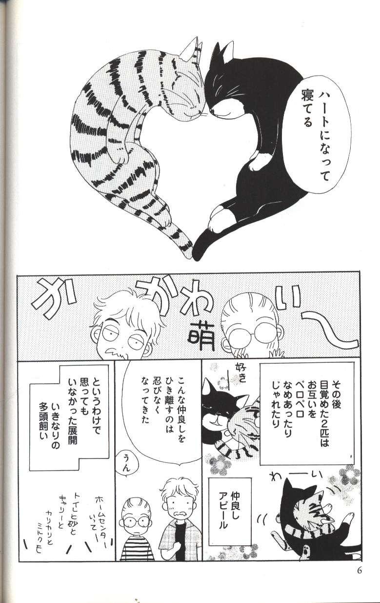 秋田書店 くりた陸 兄弟にゃんこ/スウとクウ | まんだらけ Mandarake 