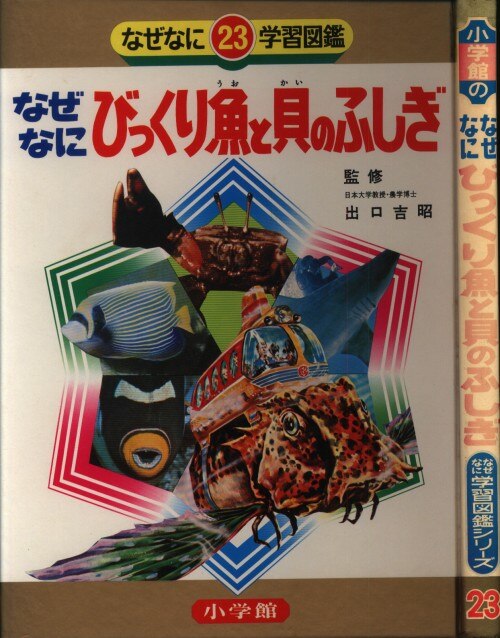 小学館 なぜなに学習図鑑 23 びっくり魚と貝のふしぎ(初版・箱欠