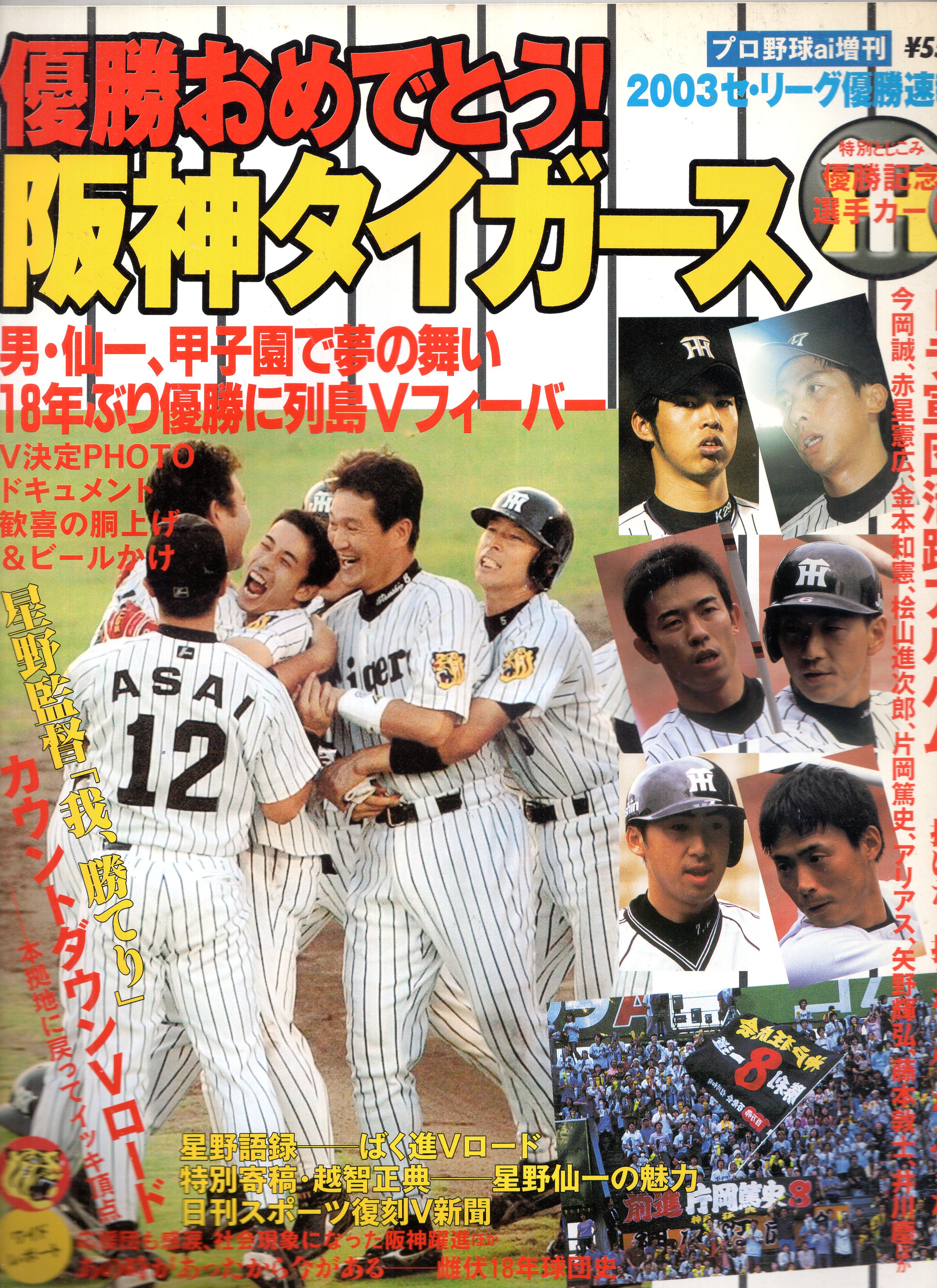 日刊スポーツ出版 プロ野球ai増刊 優勝おめでとう!阪神タイガース2003