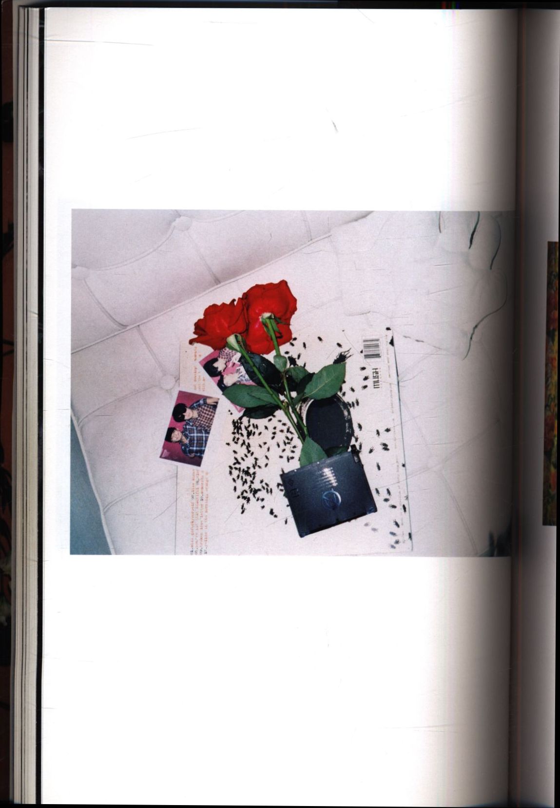 lin zhipeng Flowers and Fruits まんだらけ Mandarake
