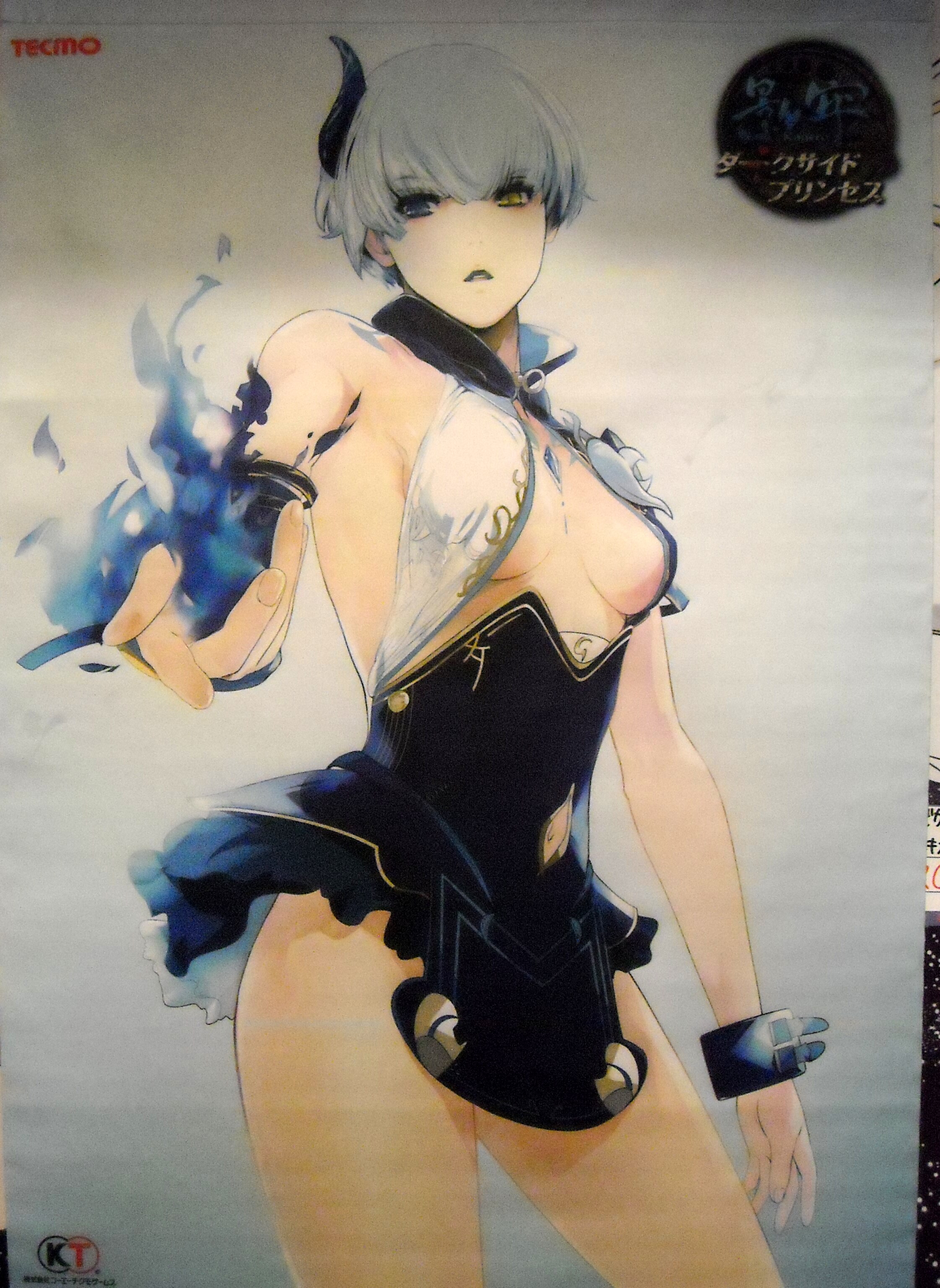 影牢 ダークサイドプリンセス 購入特典タペストリー ソフマップ まんだらけ Mandarake