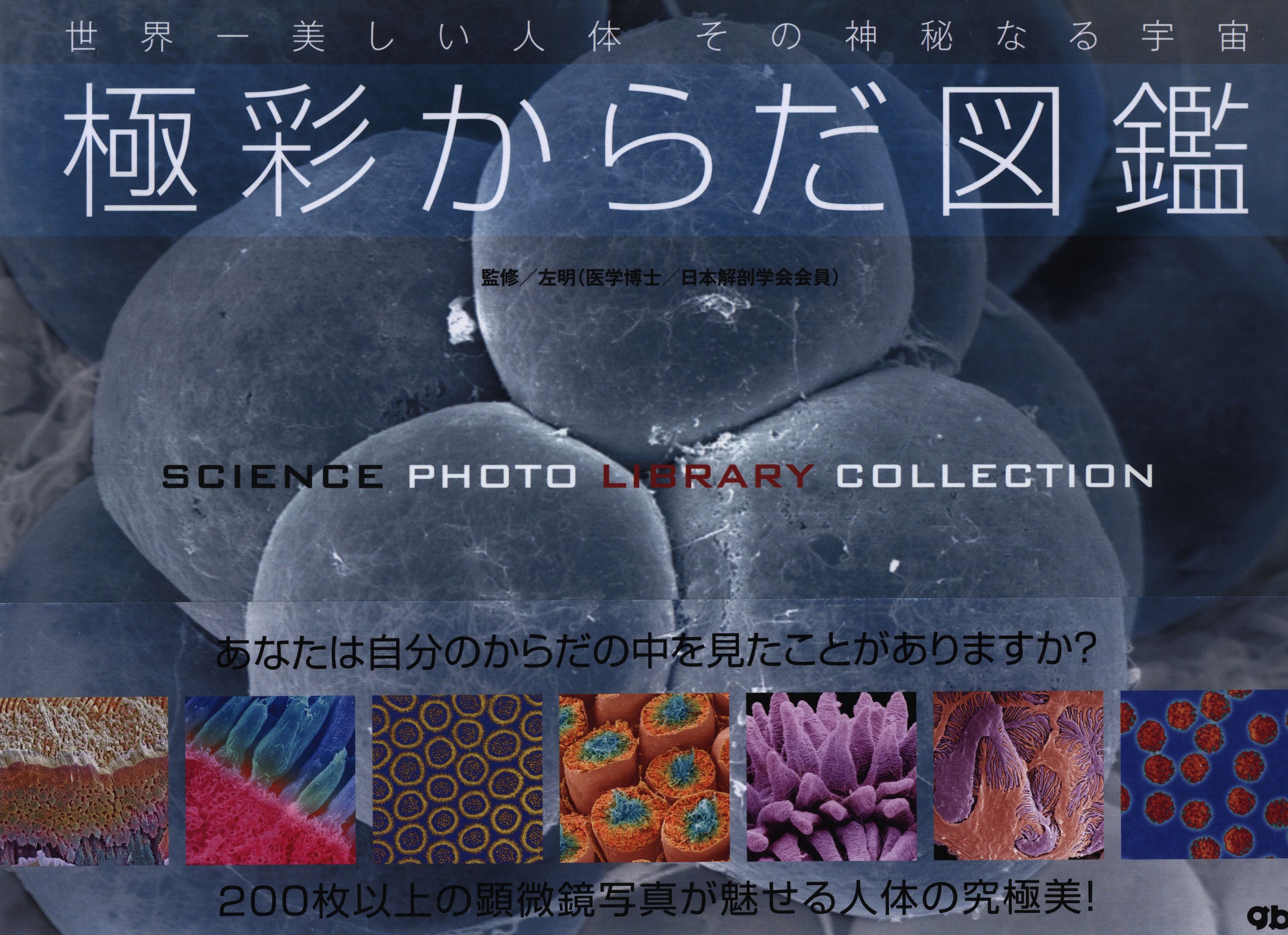 極彩からだ図鑑 まんだらけ Mandarake
