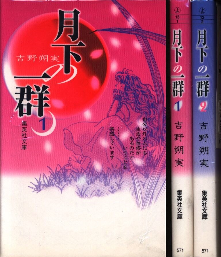 集英社 集英社文庫 吉野朔実 月下の一群 文庫版 全2巻 セット まんだらけ Mandarake