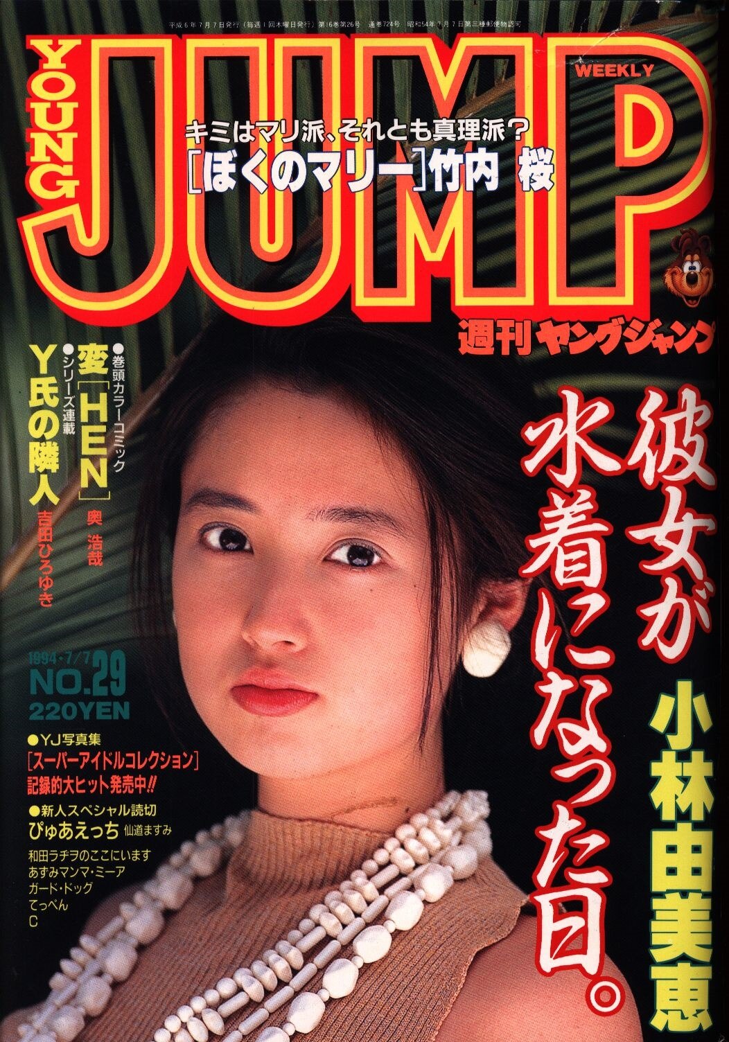 週刊ヤングジャンプ 1994年(平成6年)29