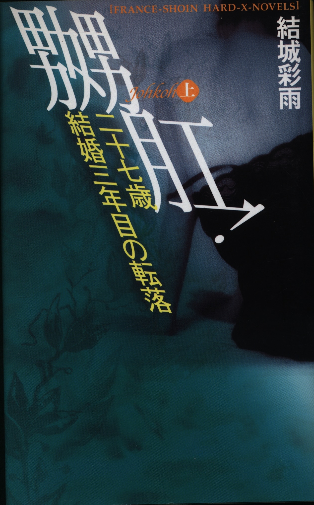 結城彩雨 フランス書院 官能小説 - 本