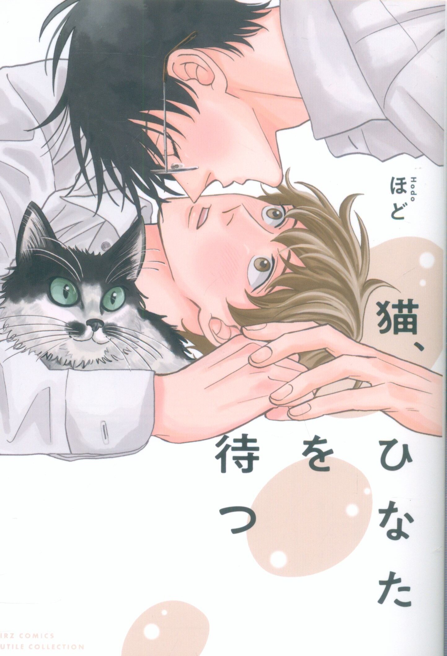Cats and Hinata wait so long for Gentosha Rutile Collection