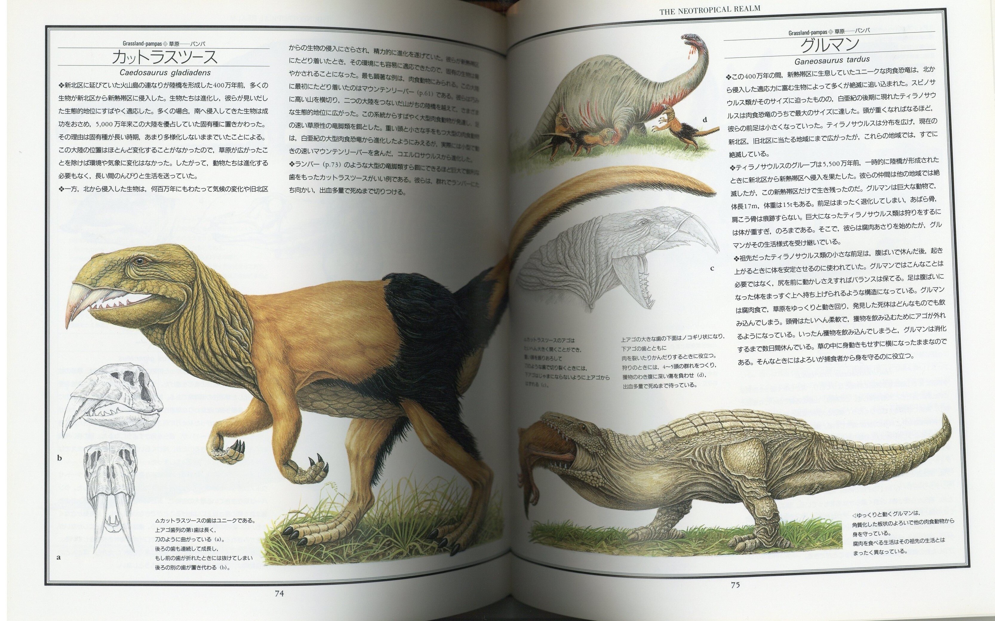 ドゥーガル・ディクソン 新恐竜 絶滅しなかった恐竜の図鑑 帯欠 | Mandarake Online Shop