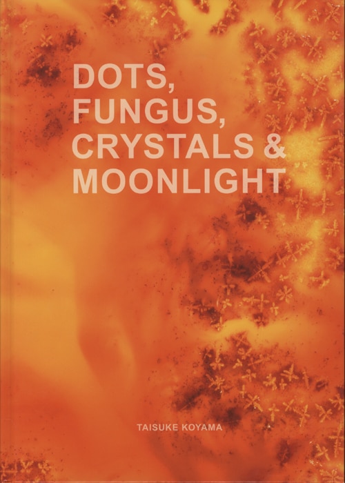 芸術一般Dots, Fungus, Crystals \u0026 Moonlight