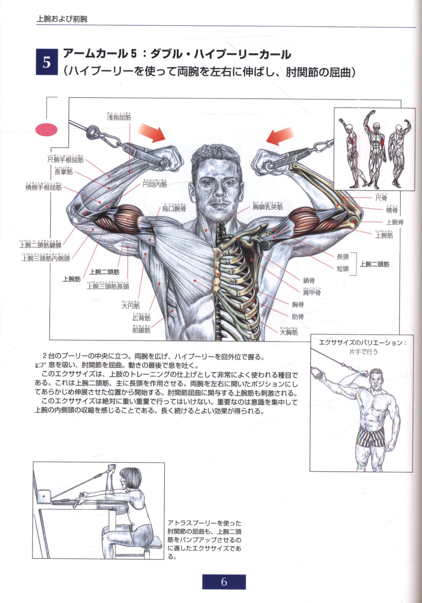フレデリック・ドラヴィエ 目でみる筋力トレーニングの解剖学―ひと目でわかる強化部位と筋名 | まんだらけ Mandarake