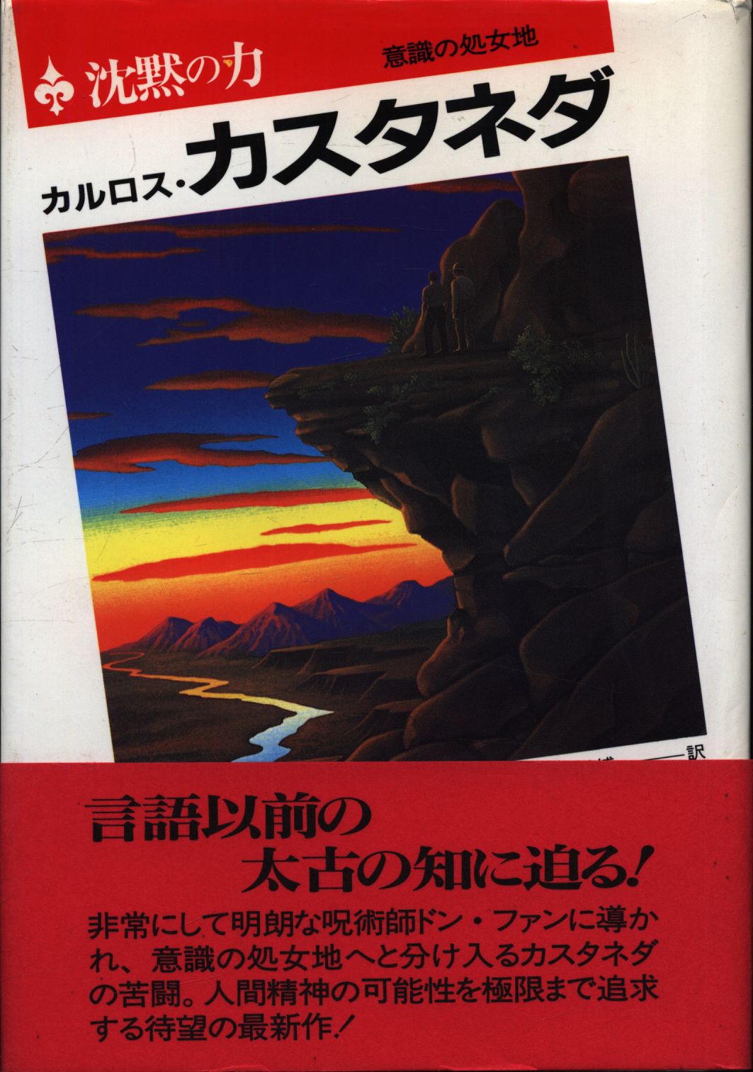 カルロス・カスタネダシリーズ 10冊 二見書房 - ノンフィクション、教養