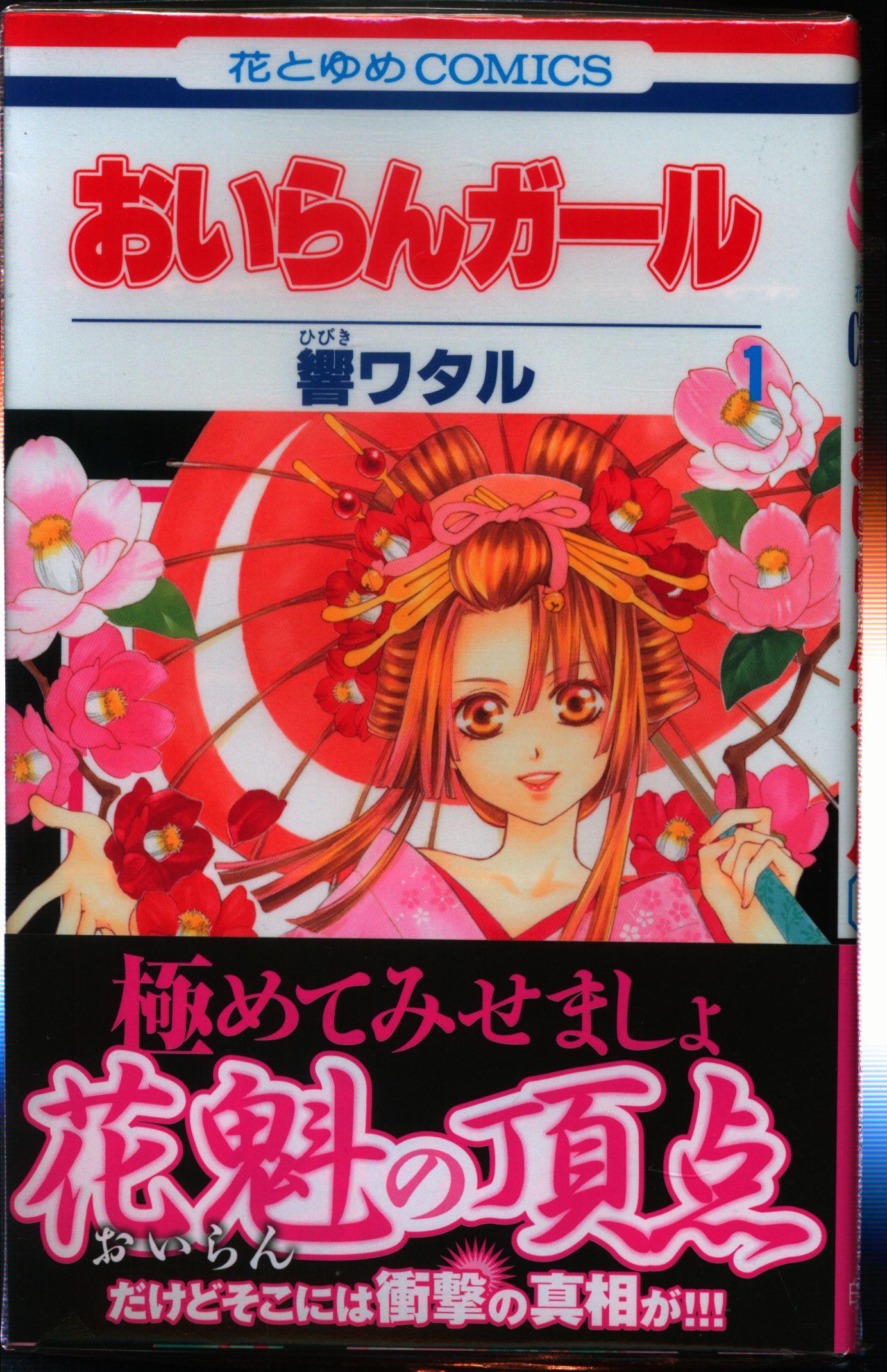 白泉社 花とゆめコミックス 響ワタル おいらんガール 全5巻 セット まんだらけ Mandarake