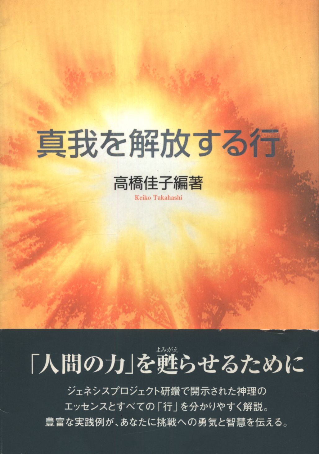 高橋佳子 真我を解放する行 | まんだらけ Mandarake