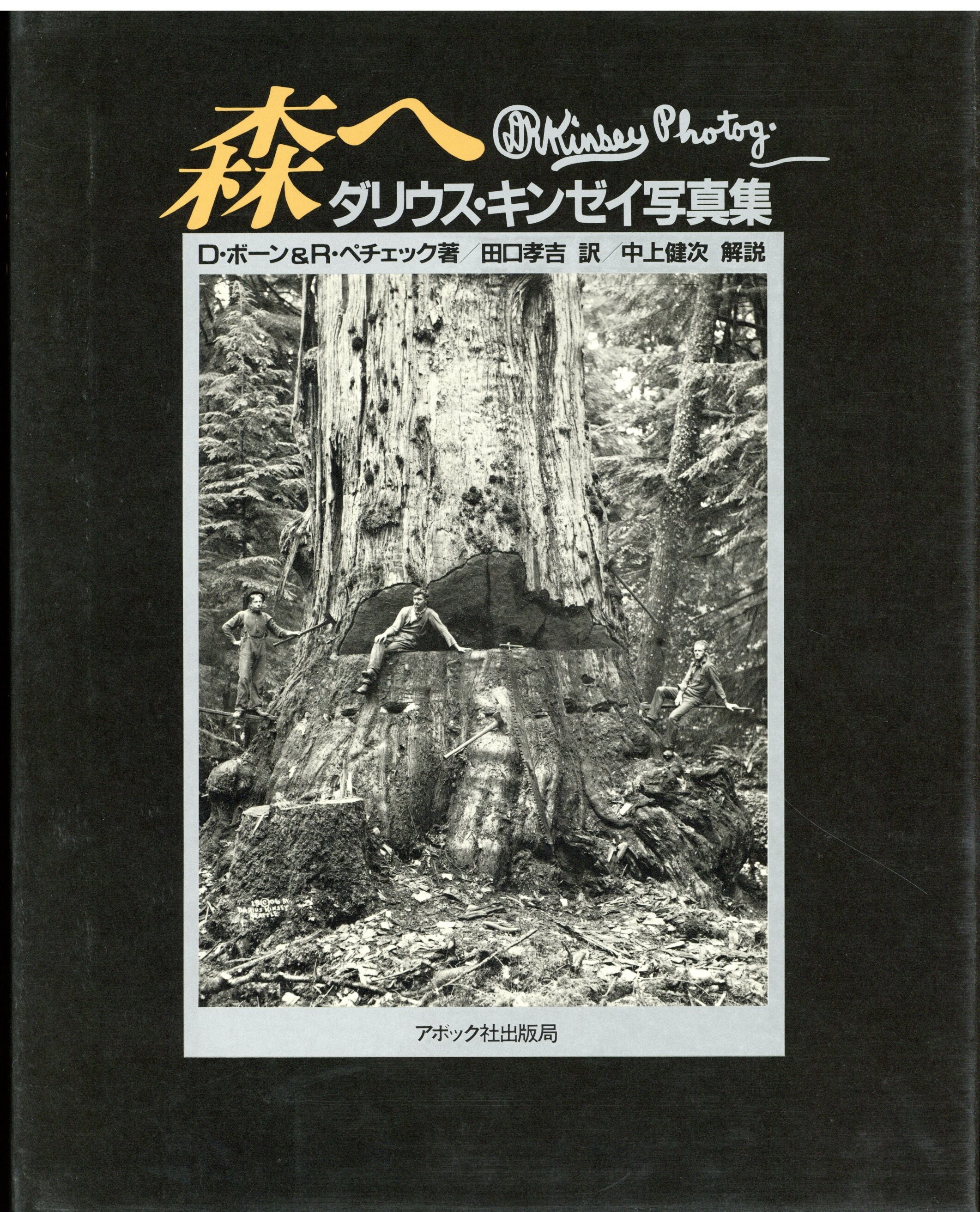 森へ ダリウス・キンゼイ写真集 (帯付) | まんだらけ Mandarake