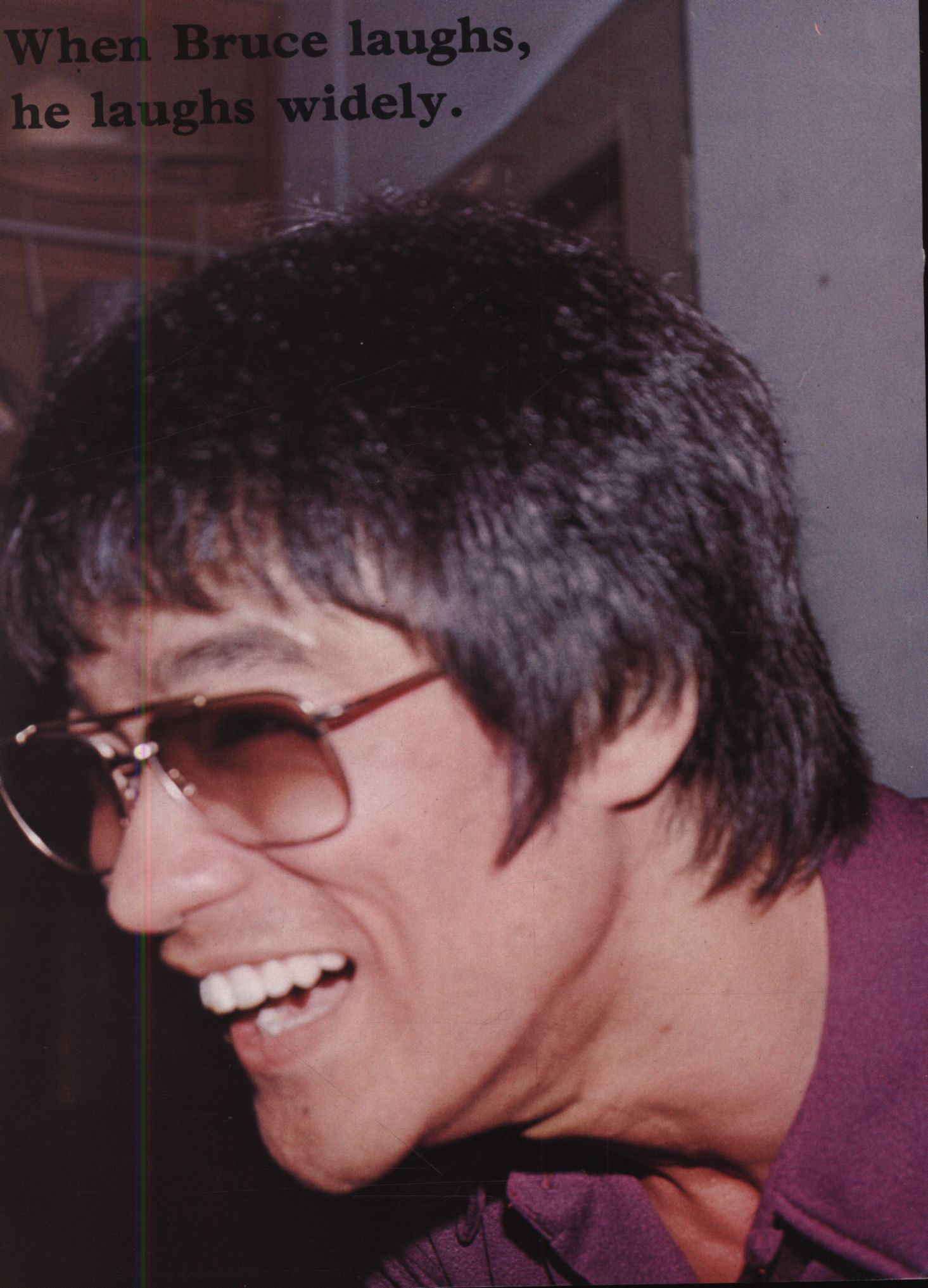 lee magazine series bm-6 wong shun-leung reminiscence of bruce