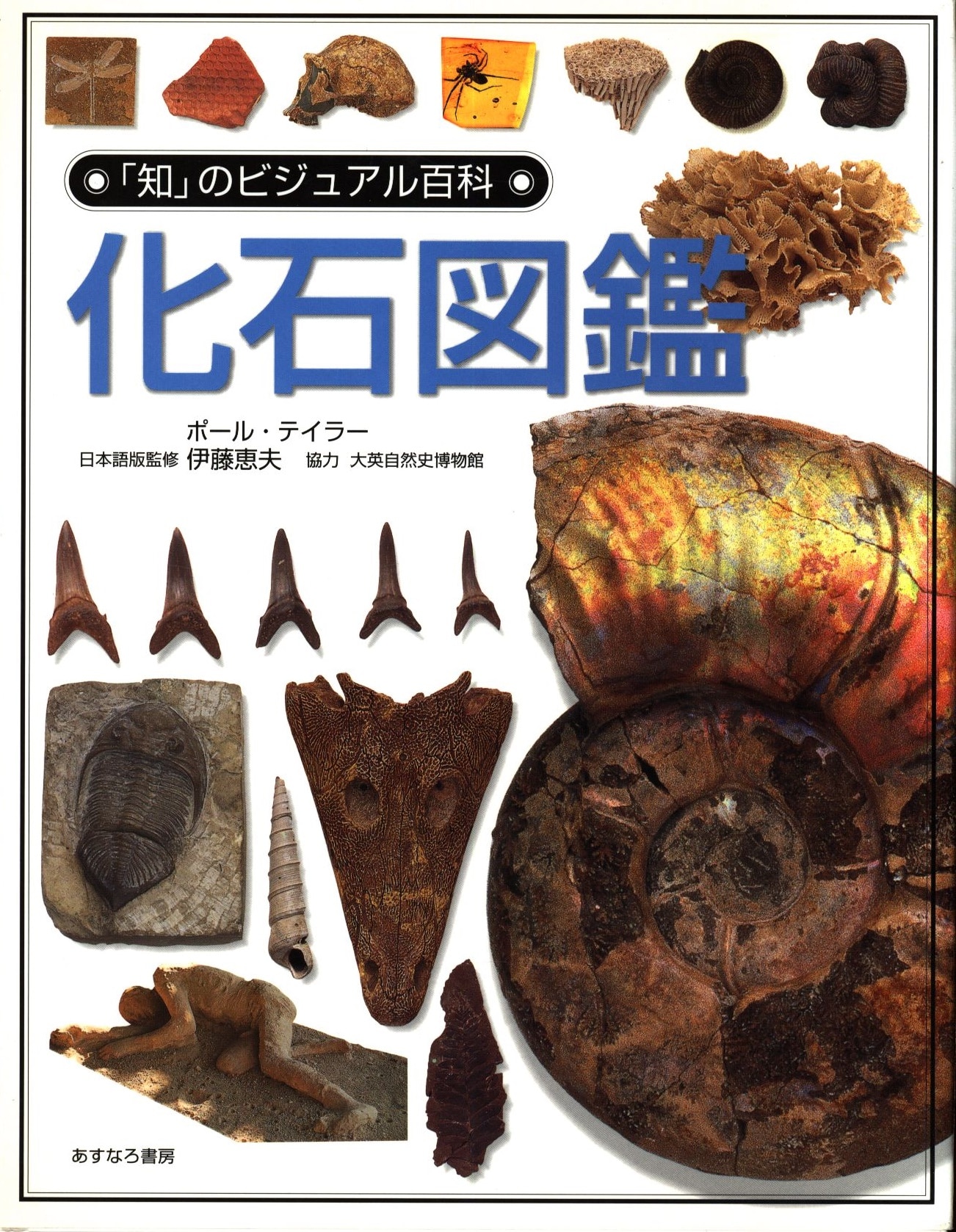 知のビジュアル百科 4 ポール テイラー 化石図鑑 まんだらけ Mandarake