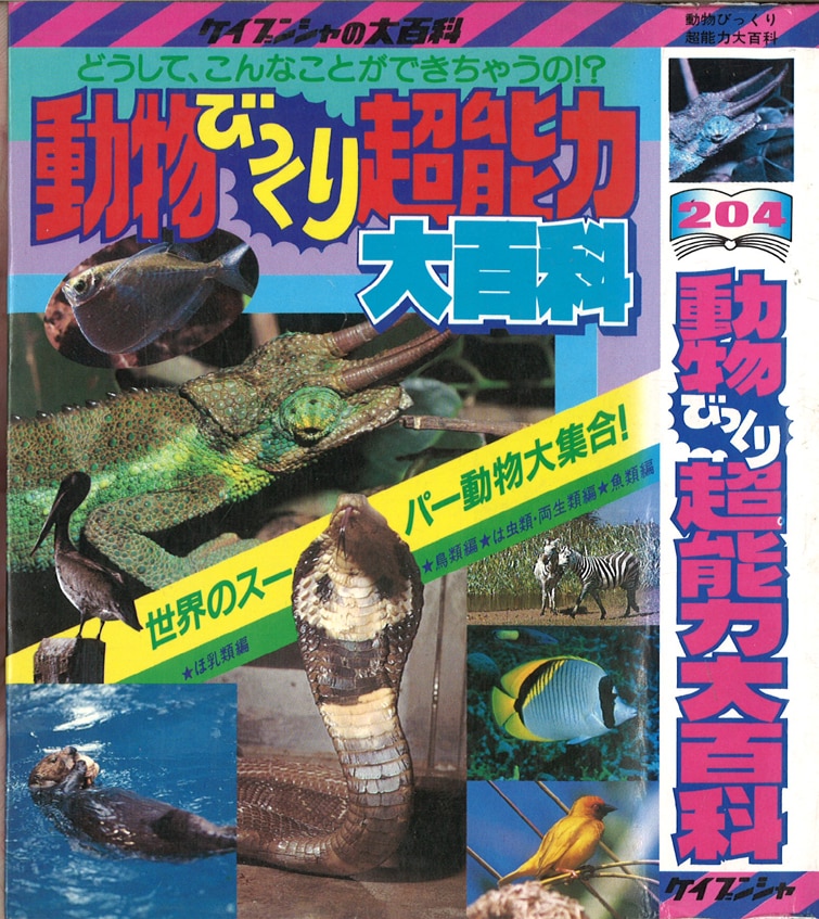 勁文社 ケイブンシャの大百科204 動物びっくり能力大百科 | まんだらけ Mandarake