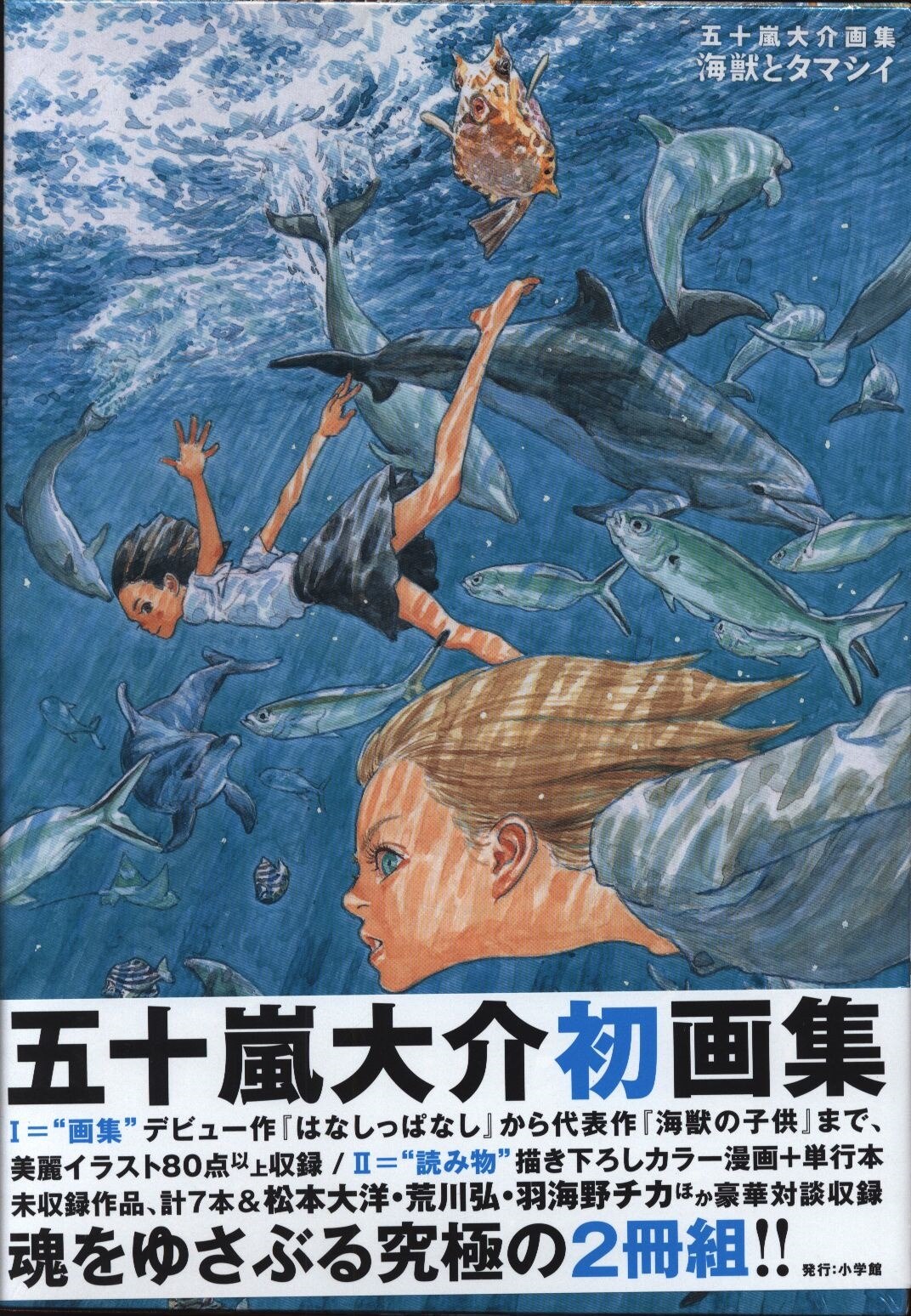 直売正規品 五十嵐大介 画集 映画「海獣の子供」ARTBOOK | www.barkat.tv