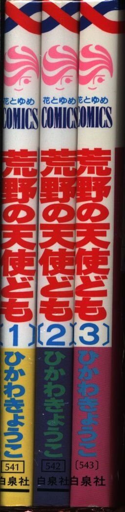 白泉社 花とゆめコミックス ひかわきょうこ 荒野の天使ども 全3巻 セット まんだらけ Mandarake