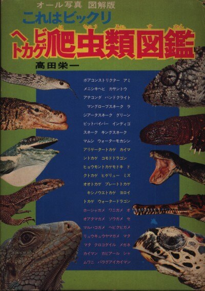 朝日ソノラマ 図鑑シリーズ 高田栄一 これはびっくりヘビトカゲ爬虫類図鑑 箱付 まんだらけ Mandarake 朝日ソノラマ 図鑑シリーズ 高田栄一 これはびっくりヘビトカゲ爬虫類図鑑 箱付 まんだらけ Mandarake