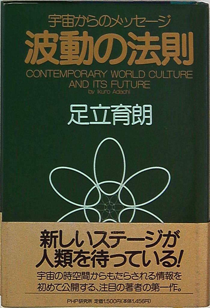 スィエポンエヴァSIEPON EVHA 振動波調整装置 足立育朗 - その他