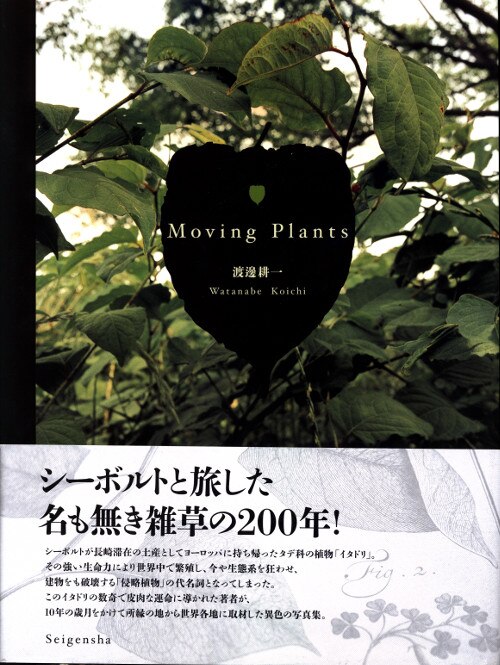 サイン入り 渡邊耕一 Moving Plants まんだらけ Mandarake