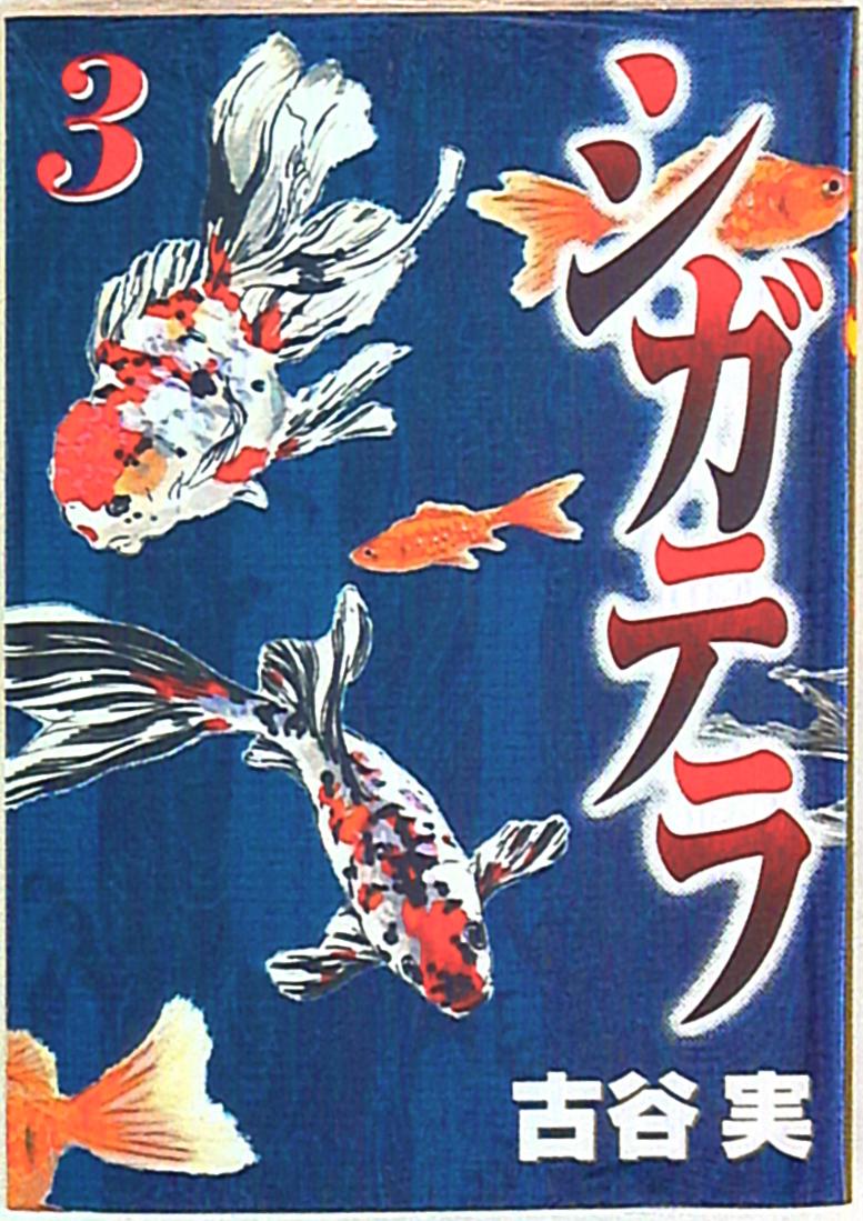 講談社 ヤングマガジンkc 古谷実 シガテラ 3 まんだらけ Mandarake