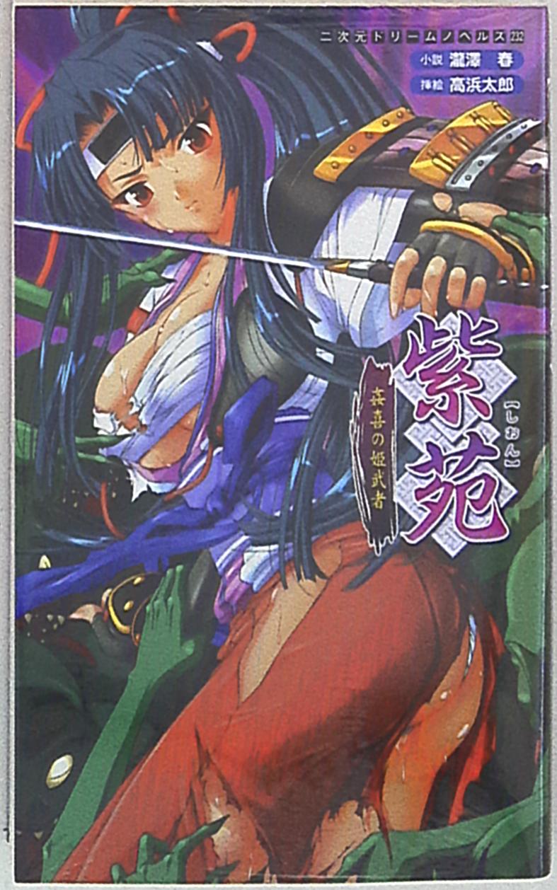 キルタイムコミュニケーション 二次元ドリームノベルズ 瀧澤春 紫苑 姦喜の姫武者 まんだらけ Mandarake
