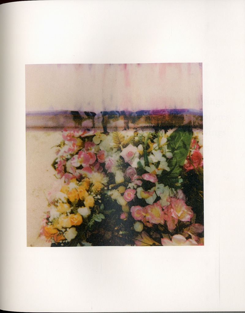 通販割引品 サイ・トゥオンブリーの写真 変奏のリリシズム Cy Twombly