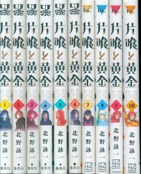 集英社/講談社 北野詠一 片喰と黄金 1-10巻全巻セット
