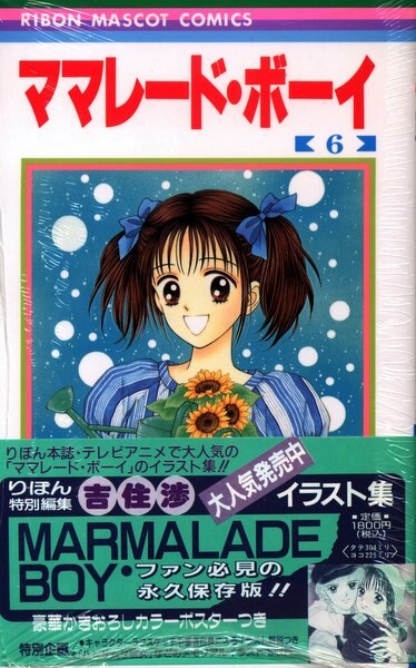 Marmalade Boy, Vol. 6