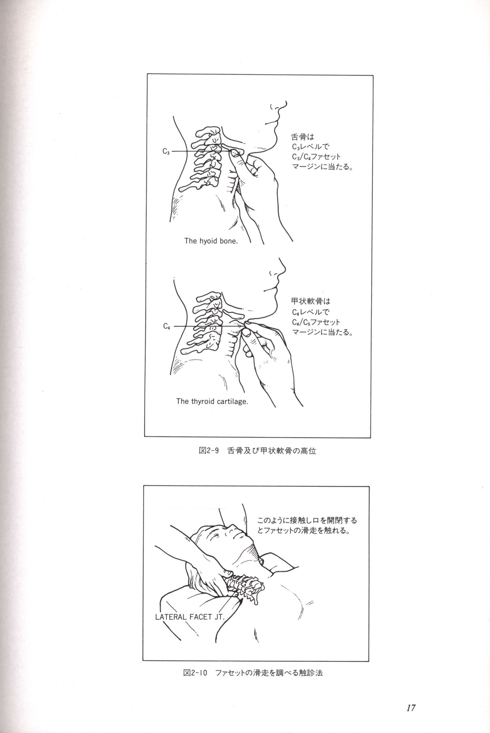 構造医学の臨床