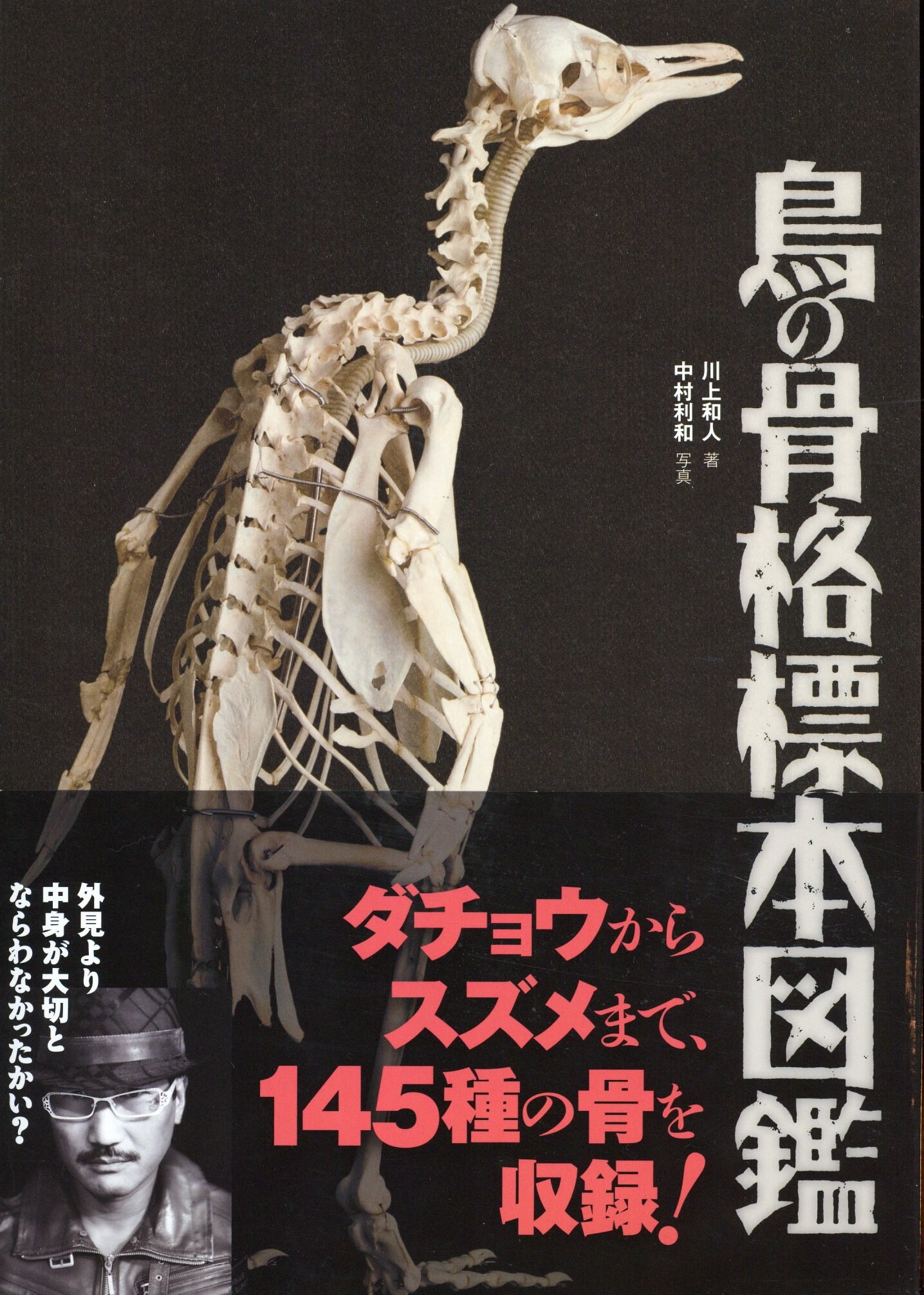 文一総合出版 川上和人 中村利和 鳥の骨格標本図鑑 まんだらけ Mandarake