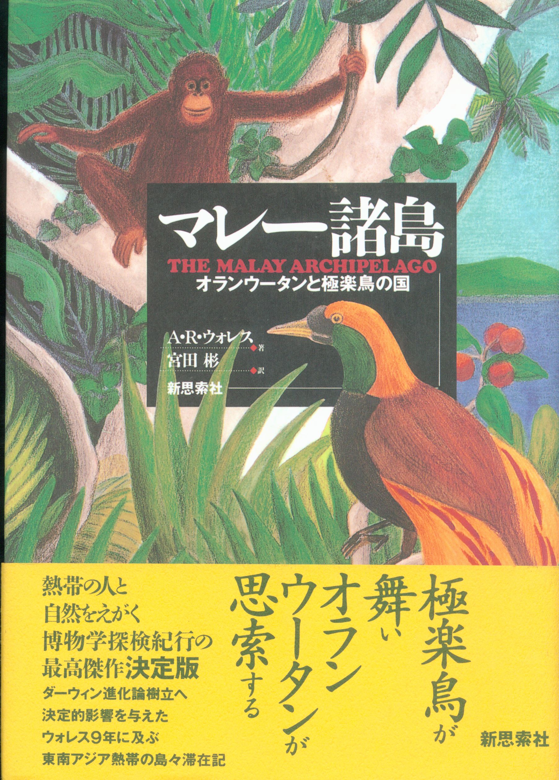 A R ウォレス マレー諸島 オランウータンと極楽鳥の国 まんだらけ Mandarake
