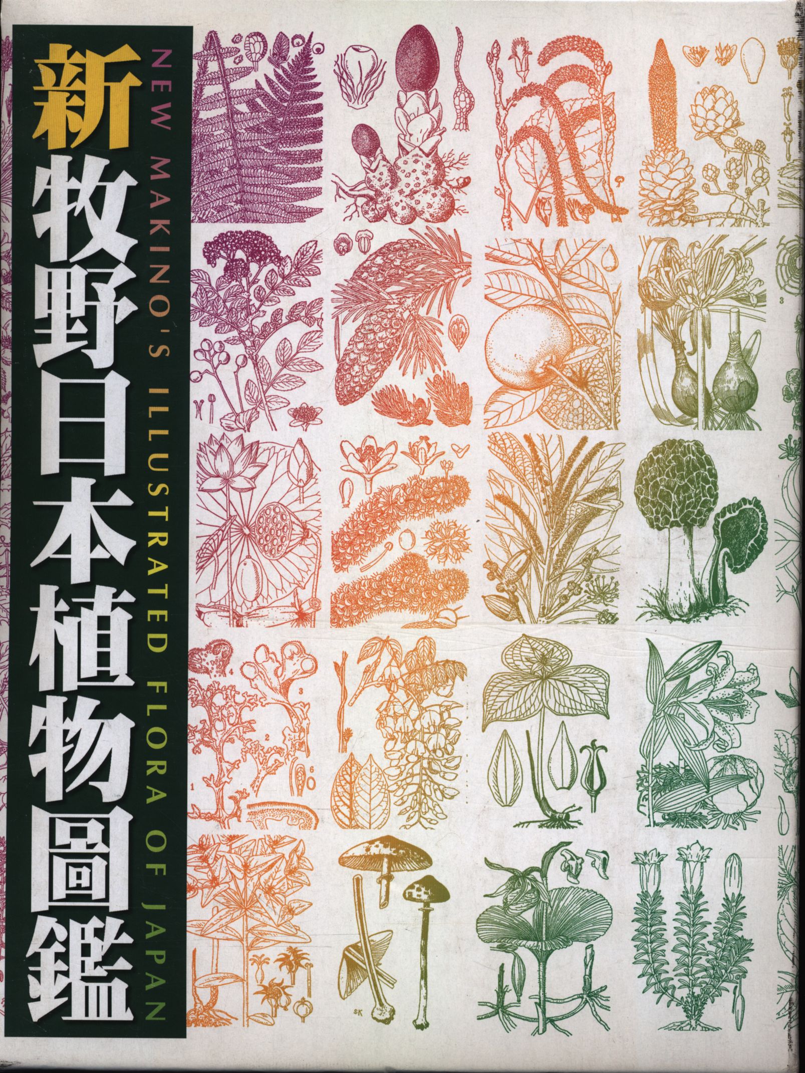 新牧野日本植物圖鑑 | 大橋 広好, 牧野 富太郎 |本 | 通販 | Amazon