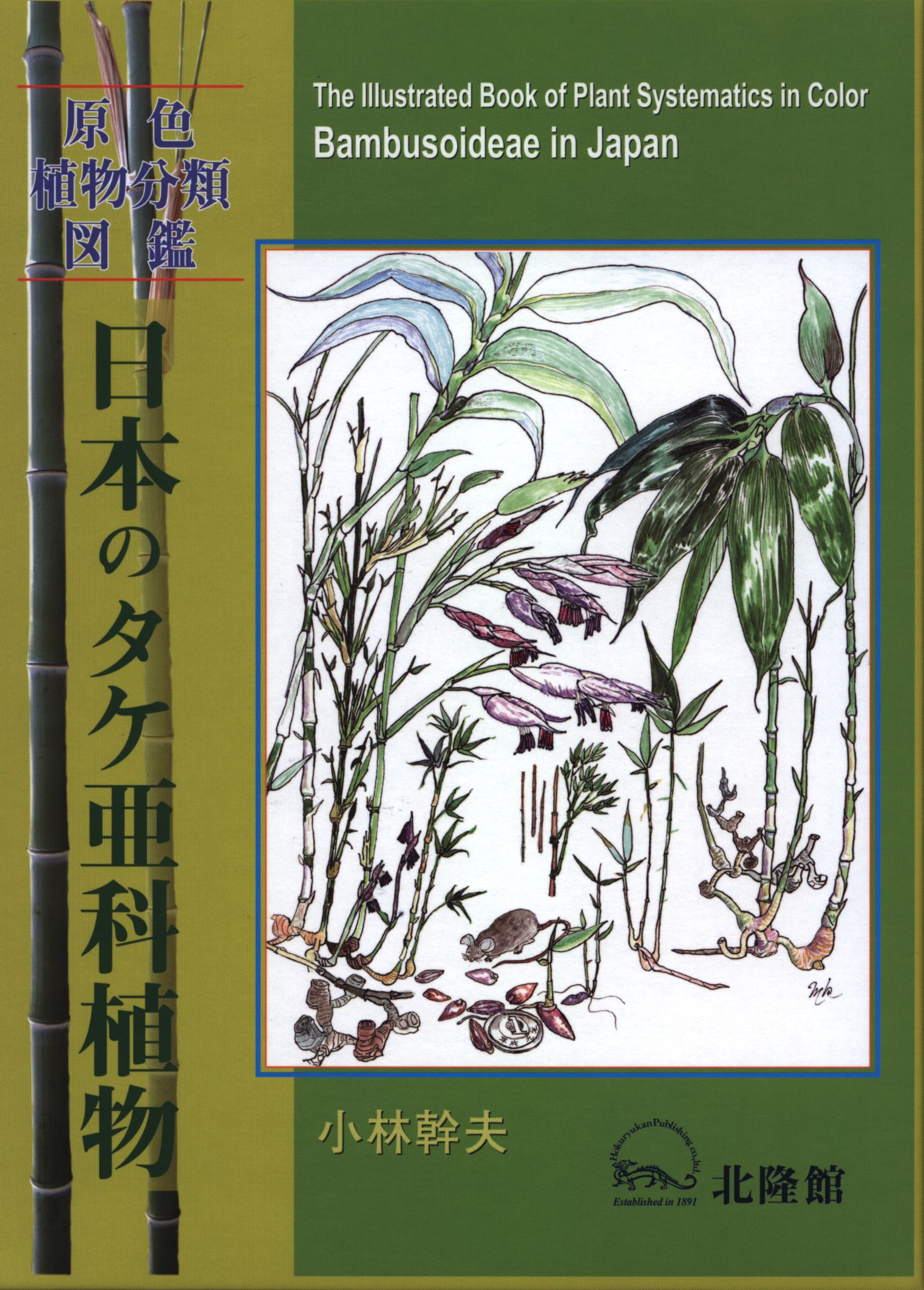 原色植物分類図鑑 小林幹夫 日本のタケ亜科植物 まんだらけ Mandarake