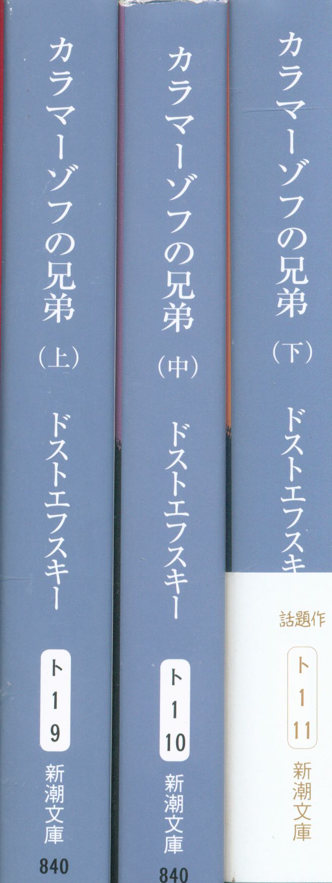 カラマーゾフの兄弟 3 - 文学